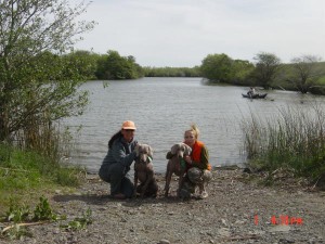 SF Weim Club